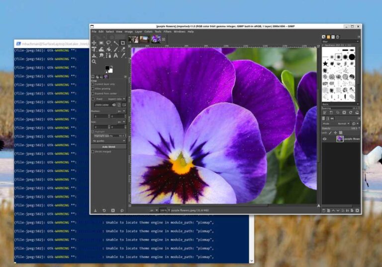 Windows Subsystem for Linux becomes open source